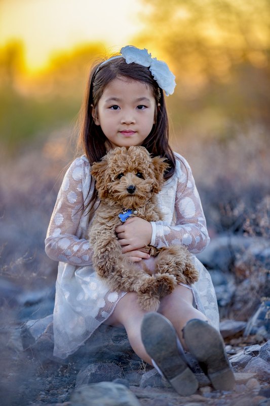 A child and her puppy at golden hour