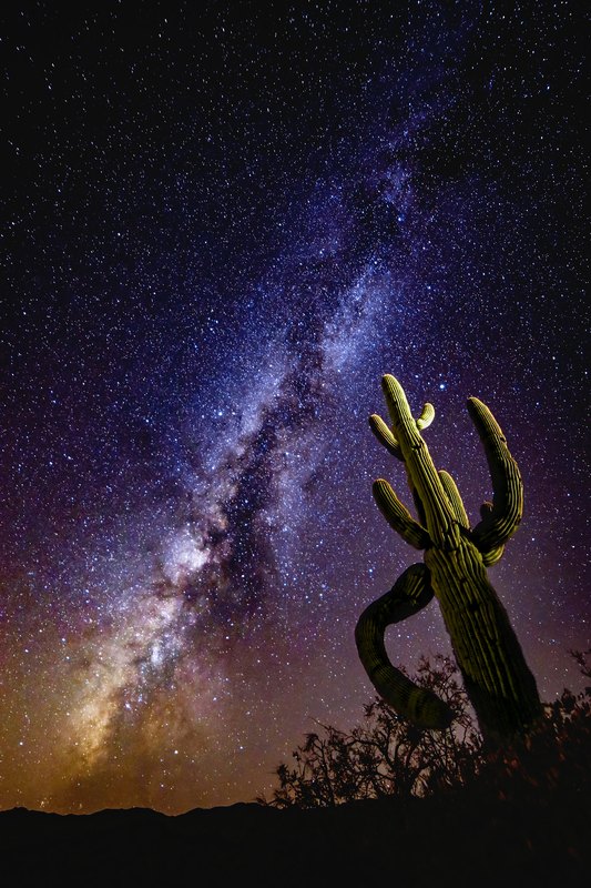 Celestial