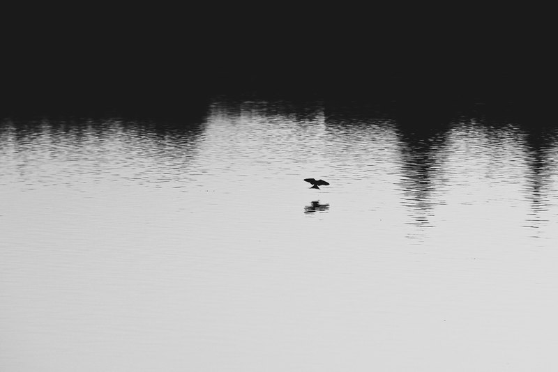 Through The Darkness