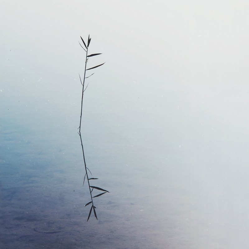 SILENCE