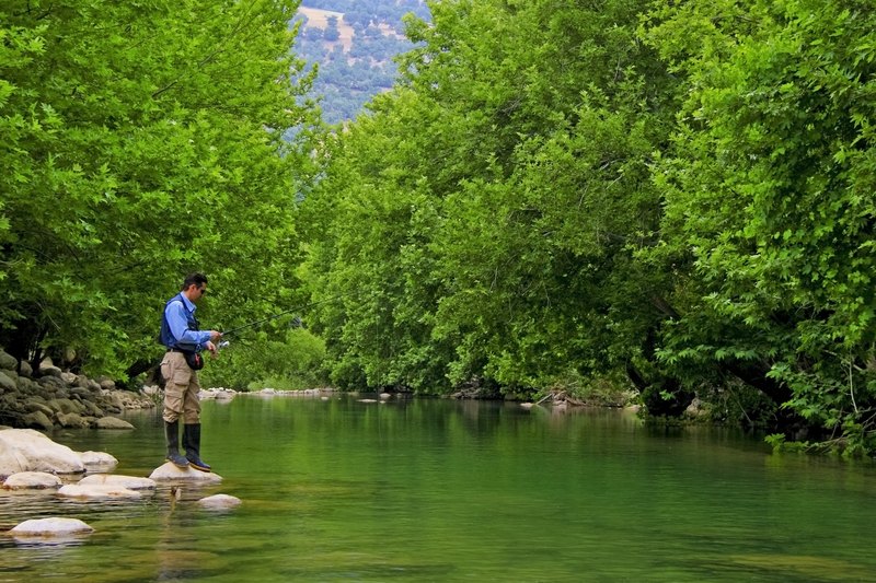 FisherMan