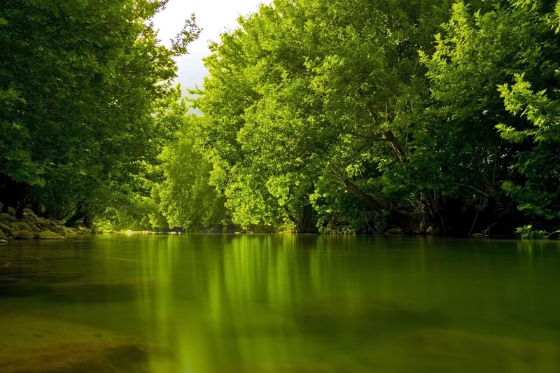 The Soft Mirror